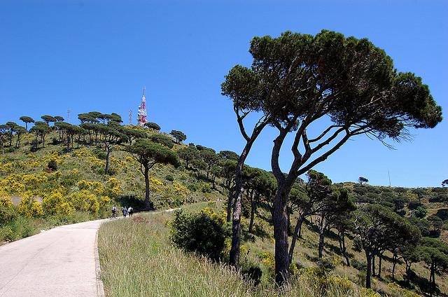 Barcelona - Running