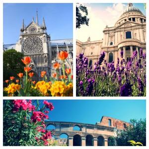 Blossom Landmarks