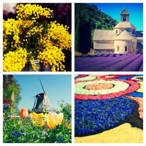 Blossoms of Europe