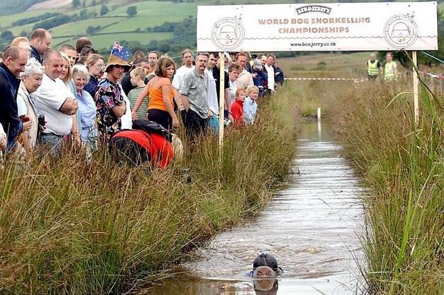 Bog Snorkeling Championships, Powys, Wales, Llanwrtyd Wells,