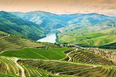 Douro Valley Vista