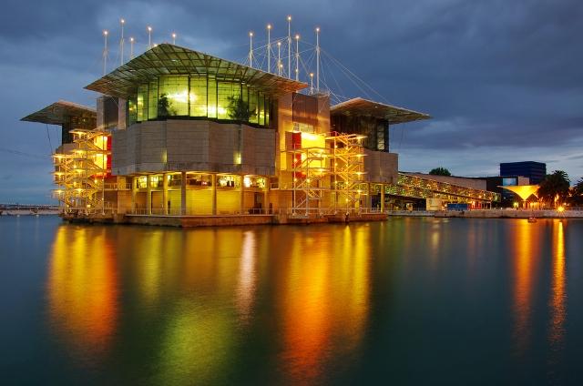 Lisbon Oceanarium