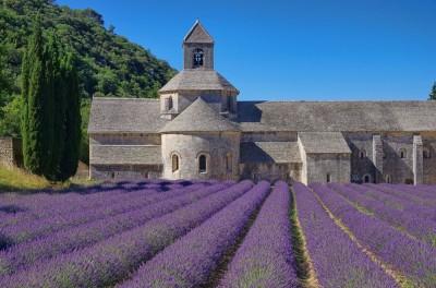 Senanque Abbey Lavender Fields, France