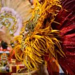 Brazil Carnival