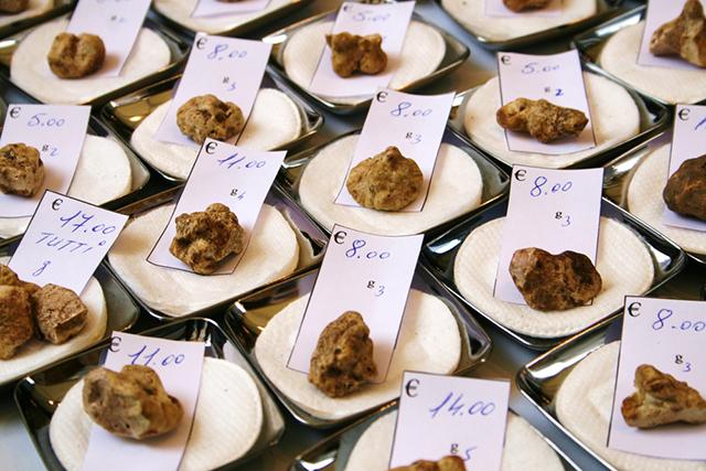 Alba International White Truffle Fair, Alba, Italy
