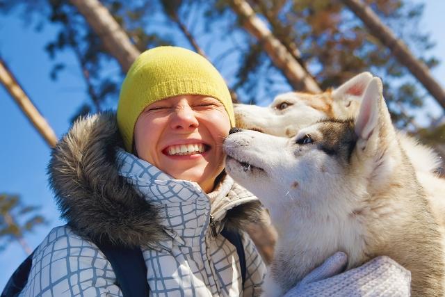 Huskies