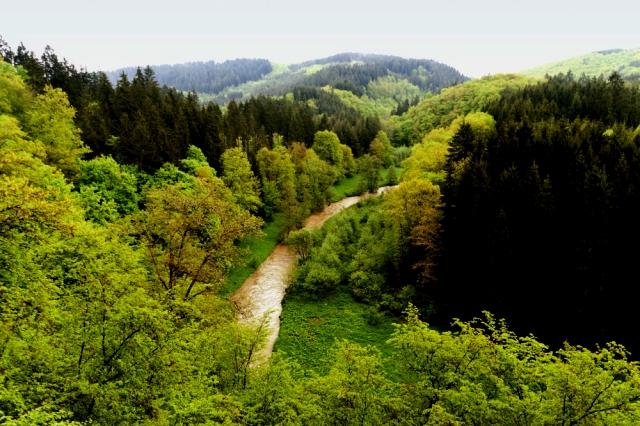 Eifelsteig Trail in Germany