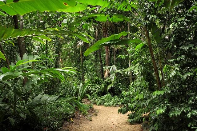Flecker Botanical Gardens - Cairns, Australia