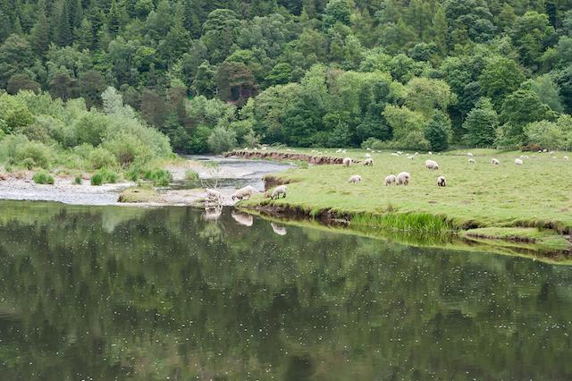 Traquair Castle, Innerleithen 