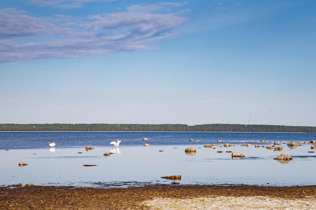 Kuressaare Beach, Estonia