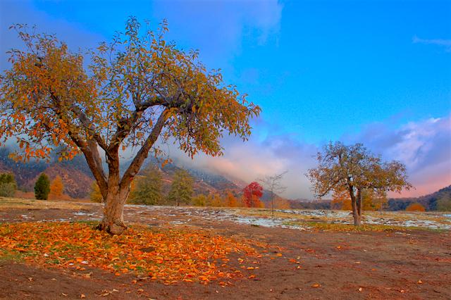 Oak Glen, California