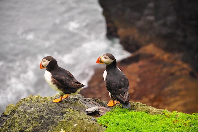 Skellig Michael, Ireland 