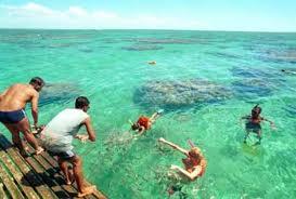 Snorkeling in Natal