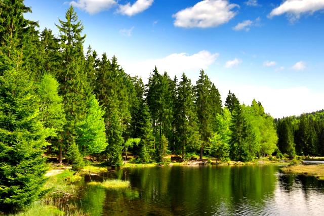 the-best-camping-in-europe-uhlenkoper-germany-auto-europe