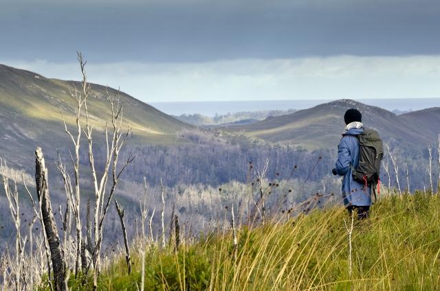 travel to tasmania