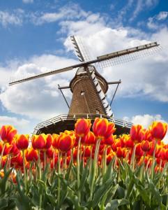 Car Rental Holland