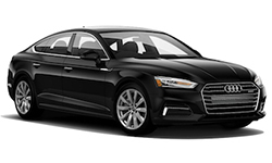 Luxury Car Rental St. Petersburg