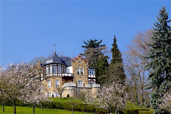 Bad Bergzabern, Germany