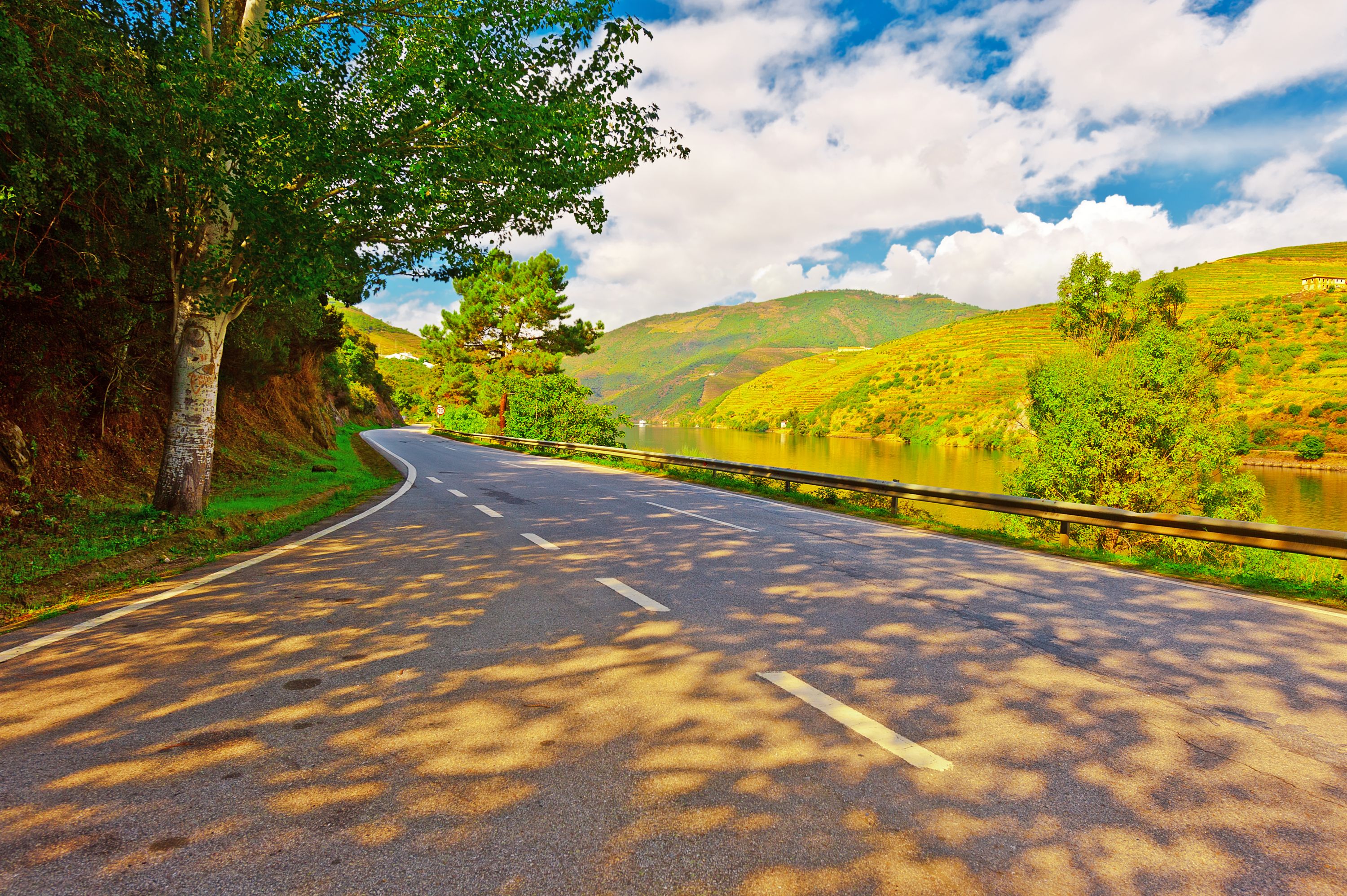 Drive to Discover Porto Wine Tour