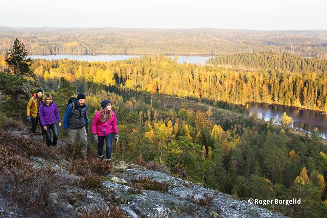 Hiking in Dalsland, Sweden
