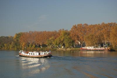 Fall Weather in Avignon France
