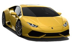 Exotic Car Rentals