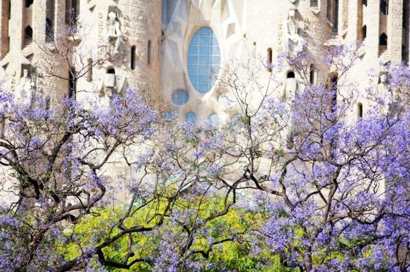 Rent a Car in Barcelona