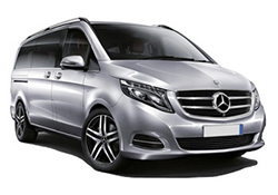Mercedes Viano