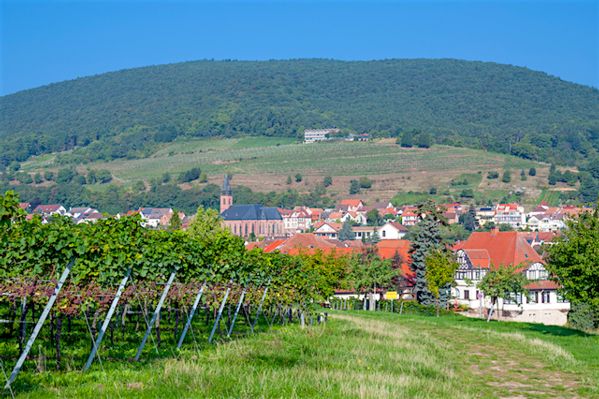 Sankt Martin, Germany