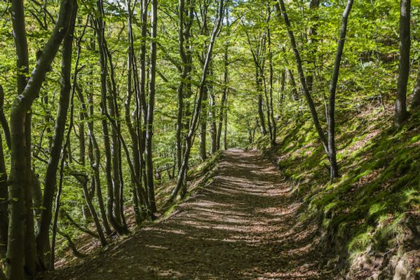 Soderasens National Park, Sweden