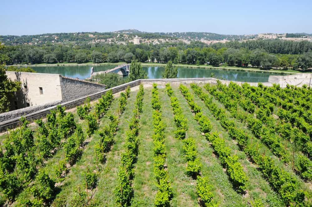 Things to Do in Avignon: Visit Rocher des Doms