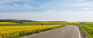 Spring Brakes on Spring Breaks: On the Road with Auto Europe