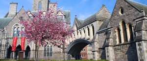 Visiting Ireland for the First Time: Cork to Dublin