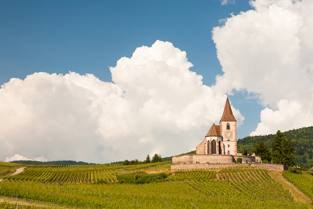 The Burgundy Wine Region of France