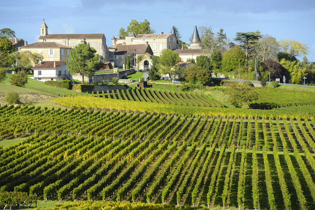 The Champagne Wine Region