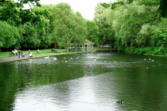 Fitzergerald Park