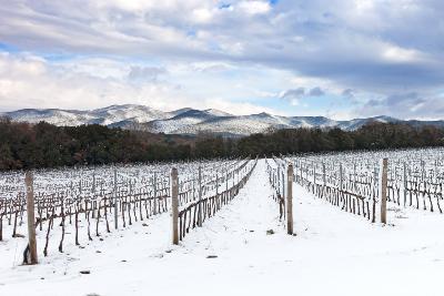 Winter in Florence