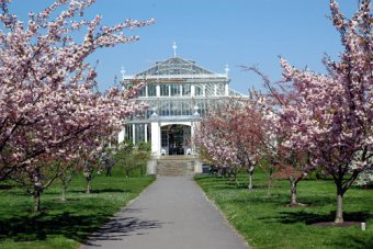 Things to Do in London: Visit Kew Gardens