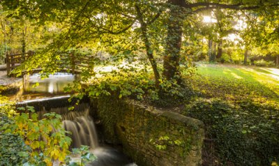 Attractions in Dublin: National Botanical Gardens