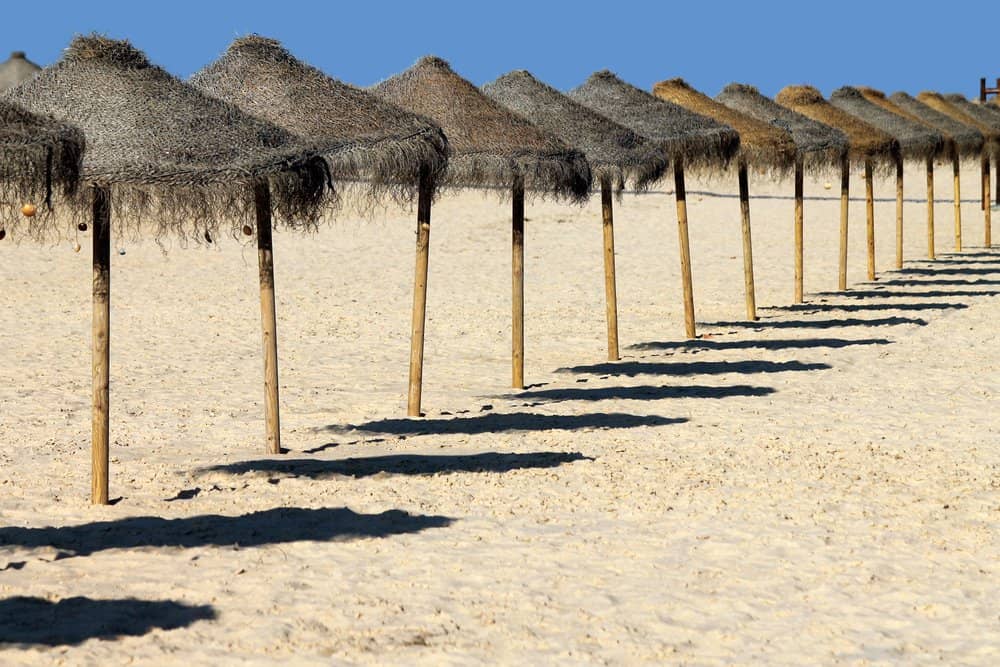 Things to Do in Faro: Ilhas Desertas