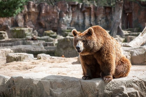 Things to Do in Madrid Spain Zoo Aquarium