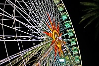 Things to Do in Nice: Enjoy the Carnival Festivities
