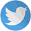 Connect on Twitter