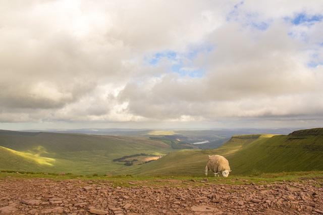 Black Mountain, UK