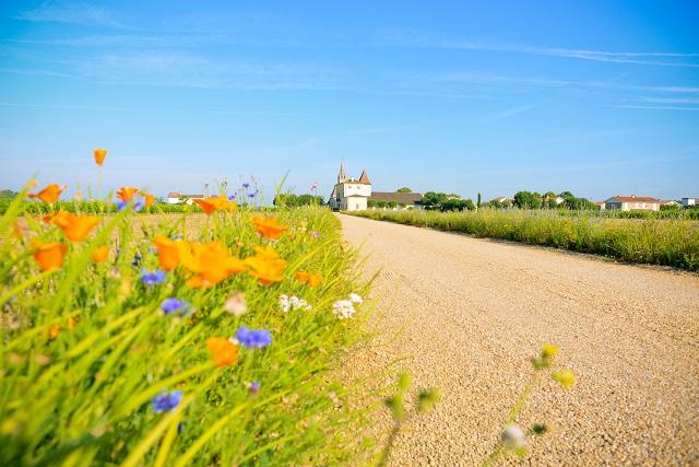 Pomerol, France