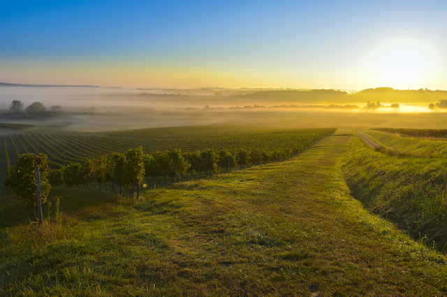 Medoc, France