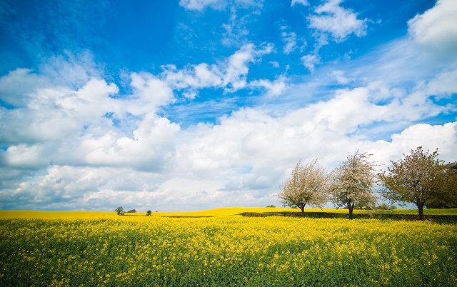 Shropshire