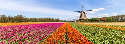 Arnhem car rentals